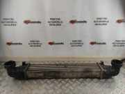 Ladeluftkühler Mercedes-Benz E-Klasse (W211) A2115002602