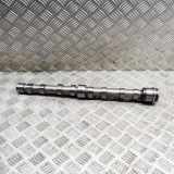 Einlassnockenwelle FIAT DUCATO Minibus / passenger (250_, 290_) 150 Multijet 3,0 D 504246094