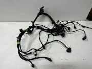 Motor Kabelbaum BMW 2 Cabrio (F23) 230 i EAC896