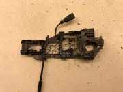 Türinnengriffrahmen hinten links