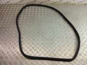 Türdichtung BMW X1 (F48) 7349665