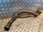 Luftansaugrohr MERCEDES-BENZ A (W169) A 180 CDI (169.007, 169.307) 1695200401