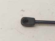 Heckklappendämpfer links Audi Q5 (8R) 8R0827552A