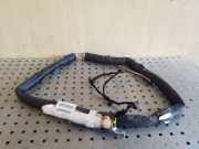Airbag Dach rechts Citroen C4 II Grand Picasso () 9800483280