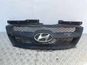 Kühlergrill oben Hyundai Sonata V (NF) 863533K000
