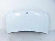 Motorhaube Mercedes-Benz Vito/Mixto Kasten (W639)