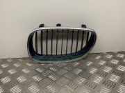 Kühlergrill komplett BMW 5er Touring (E61) 7027061