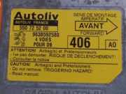 Airbag-Steuergerät PEUGEOT 406 Coupe (8C) 2.2 HDI 9638592580 550725200