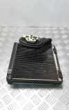 A/C Matrix Heater VW PASSAT Variant B5 (3B5) 2.8 V6 3C1820103B