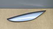 Mittelkonsole Verkleidung MERCEDES-BENZ R (W251, V251) R 320 CDI 4-matic (251.022, 251.122) A2516801717