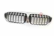 Vorderer oberer Gitter BMW 3 (G20, G28) 3 (G20) 318 d 7457041 8075666