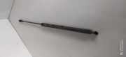 Heckklappe Gasdruckfeder links BMW 3 Touring (E46) 330 d