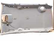 Dachverkleidung FORD GRAND C-MAX (DXA/CB7, DXA/CEU) 1.6 TDCi