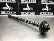 Auslassnockenwelle MERCEDES-BENZ E (W211) E 320 CDI (211.022) R6130510001