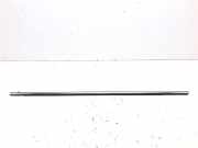 Zier-/Schutzleiste für Türscheibe Subaru Outback IV (BR)