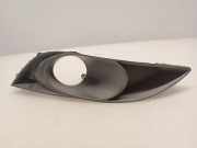 Nebelscheinwerferverkleidung TOYOTA AURIS (_E15_) 2.0 D-4D (ADE150_) 8148202040