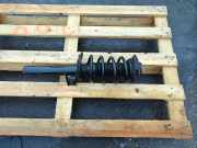 Stoßdämpfer vorne rechts SKODA SUPERB II Estate (3T5) 2.0 TDI 16V 317575