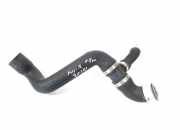 Wasserkühlerschlauch rechts MERCEDES-BENZ R (W251, V251) R 320 CDI 4-matic (251.022, 251.122) A2515011582