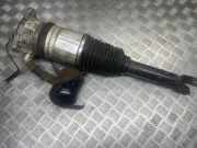 Stoßdämpfer hinten links