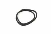 Türdichtungsgummi vorne links MERCEDES-BENZ C T-Model (S204) C 200 Kompressor (204.241) A2046970351