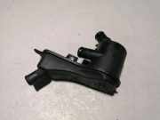 Schlauch für Zylinderkopfhaubenentlüftung Ford Mondeo IV Stufenheck (BA7) 6G9Q6A785AB