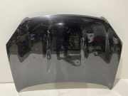 Motorhaube NISSAN QASHQAI / QASHQAI +2 I (J10, JJ10) 1.5 dCi
