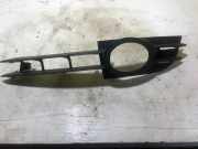 Blende Nebelscheinwerfer Audi A6 Avant (4F, C6)