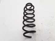 Schraubenfeder hinten links