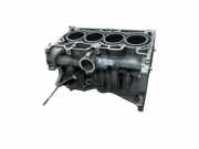 Motorblock NISSAN QASHQAI II (J11, J11_) 1.6 dCi 110112878R