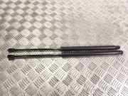 Heckklappe Gasdruckfeder links RENAULT MEGANE II Estate (KM0/1_) 1.9 dCi 1146575