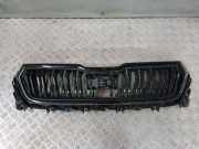 Kühlergrill oben Skoda Kodiaq I (NS6, NS7, NV7) 565853653G