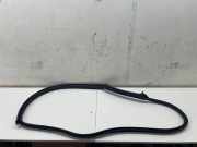 Türgummi links vorne Maserati Ghibli III ()