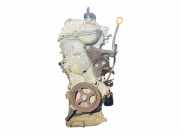 Motor TOYOTA YARIS (_P9_) 1.4 D-4D (NLP90_) 0161603