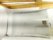 Dachverkleidung FORD FIESTA VII 1.0 EcoBoost 202033094554 H1BB-A51916-AG3HV1