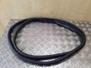 Türdichtung Citroen Xsara Picasso (N68)