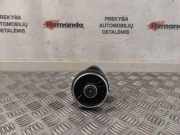 Ziergitter Audi TT (8S) 8S2820951