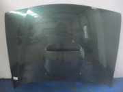Motorhaube Nissan Terrano II (R20)
