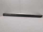 Türverkleidung rechts vorne Mercedes-Benz B-Klasse Sports Tourer (W245) A1696983662