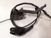 Griff Klappenzug Renault Megane II (BM/CM) 10461013