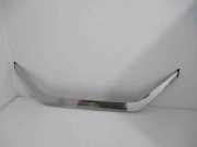 Dachleiste links CITROËN C3 II 1.4 9685374877