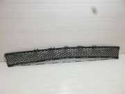 Gitter vorne unten MERCEDES-BENZ E (W213) E 220 d (213.004) A2138850622