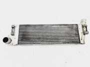 Ladeluftkühler RENAULT GRAND SCÉNIC II (JM0/1_) 1.9 dCi (JM0G, JM12, JM1G, JM2C) 8200115540