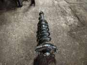 Stoßdämpfer hinten rechts TOYOTA COROLLA Verso (_E12_) 2.0 D-4D (CDE120_)