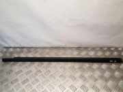 Fensterleiste Tür vorne rechts CITROËN XSARA (N1) 1.8 i 16V 96218797