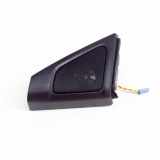 Türlautsprecher vorne links