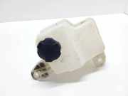 Ausgleichsbehälter KIA RIO III (UB) 1.1 CRDi 254301W000