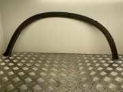 Rear Arch Liner Trim BMW X6 (E71, E72) xDrive 40 d 7176329