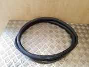 Türdichtung Seat Leon (1P)