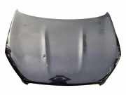Motorhaube NISSAN QASHQAI II (J11, J11_) 1.5 dCi 2709079964