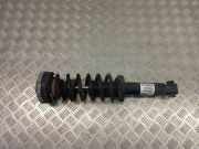 Stoßdämpfer hinten rechts BMW X3 (F25) xDrive 35 i 6796317